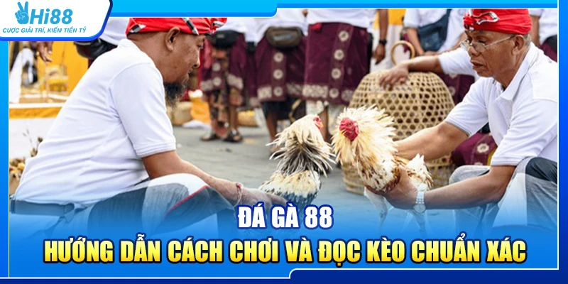 43.da ga 88 – huong dan cach choi va doc keo chuan 1