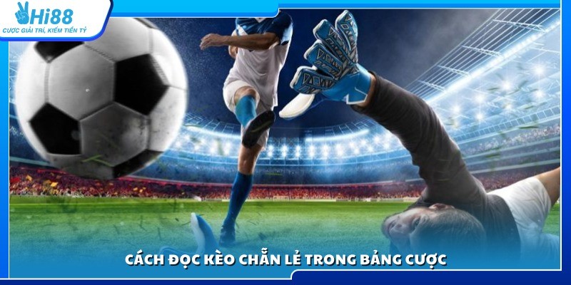 Hướng dẫn cách xem và đọc kèo chẵn lẻ chuẩn xác 